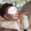 라꼬미다데수다메리카 | 미리 메리크리스마스 🎄