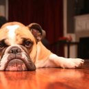 스테이 휴 이미지