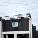 요정들의 선물2 네이버블로그