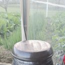 뜰안에 민박 이미지