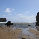 마리아농장 | 사이판정글투어 타포차우산 산타루테스 제프리스 비치 농장 체험