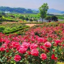 전고령가야왕릉 이미지