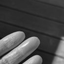 도이 태권도 이미지