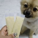 비 마이 퍼피 네이버블로그