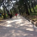 천부농장 이미지