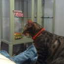 굿엠디인터내셔널 | 일상 제출