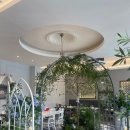 분당-188 이미지