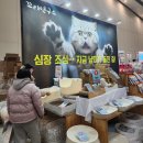 대한보청기판매(주)수원지사 | 송도마이캣페어 후기 2월 28일 토요일 둘째날 다녀왔어요