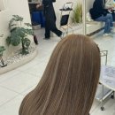 무거동 강아지 미용실 이미지