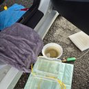 성환크리닝 이미지