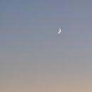 7.29 7°c의 혹한? 속에 무수한.. 이미지