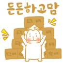 더보문풀빌라 이미지