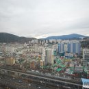 SK허브그린공인중개사사무소 이미지