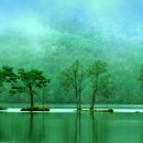 그대그리고나 이미지