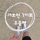서호천 | [부부러닝일기]서호천에서 만난 아카시아 향기와 갑작스러운 우중런