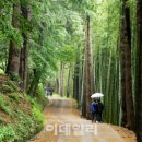 바람소리새소리 이미지