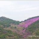 진달래먹고물장구치고 이미지