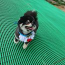 그루밍봄 이미지