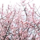 도인농장 이미지