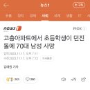 고층아파트에서 초등학생이 던진 돌에 70대 남성 사망 이미지