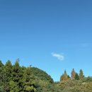 유희기업 앞 횡단보도 | 히로시마 호텔 추천 (트윈룸,소아곁잠가능)-무료셔틀, 클럽라운지,조식이랑 바로앞 페리 이용기까지!