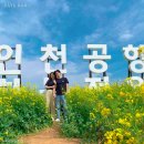 영마루공원 배드민턴장 | 인천 영종도 가볼만한곳 10, 사람들이 계속 찾더라