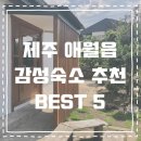 금성Best one | 제주 애월읍 1-20만원대 가성비 좋은 감성 독채숙소 BEST 5+링크･ﾟ✧