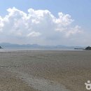 갯벌생태 체험장 이미지