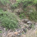 죽곡천 네이버블로그