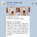 닥터리동물병원 이미지