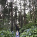 (주)운동하는 사람들 비엘짐 | 범계PT 100번 후기｜무너진 30대 체력, 핏해짐 피티 받고 얼마나 바뀌었을까?