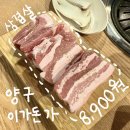 이가돈가 이미지