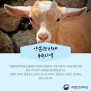 삼조축산 이미지
