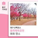 율하체육공원 분수광장 | 대구 산책코스 율하체육공원 매화 명소-13기 백은영 기자