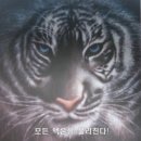 커피바보