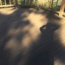 평화열린조산원 이미지