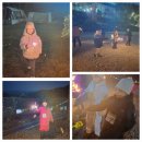 참살이힐링 펜션 이미지