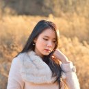 나무컴즈