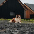 준 농장 이미지