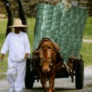 [동구샘터]Be Friends 학교 폭력 예방 교육 | #타이어 펑크 #타이어 교체 #잘 사는 법 #자녀가 잘 사는법 #부자 되는 법 #자녀가 부자 되는 법...