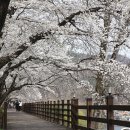 옥천 상계 체육시설 이미지