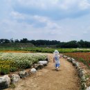 MSJ HOUSE 3 | 행복했던 경주풀빌라 MSJ HOUSE 2동 나들이