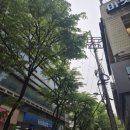 법무사문상근사무소