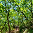 장수배드민턴장 이미지