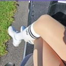 골프 델렌 | [내돈내산] 와이프 골프 라운딩 필수템! 델레고 여성 골프스타킹 살색 30D 후기