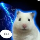 한국행정사무소 | 대한항공 인천 ⇄ 후쿠오카 편 KE781/ KE788 후기 (부제: 재외동포가 한국 입국시 비자 꼬이면 생기는 일..)