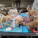 견생맛스토어 이미지