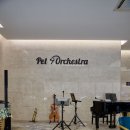 펫오케스트라 반려동물장례식장 이미지