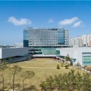 국민연금공단 이미지