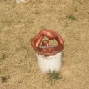 신도초등 이미지